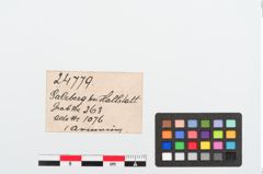 Etiketten zu Bronzearmreif (NHMW-PRAE-024779)